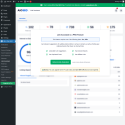Page screenshot: All in One SEO → Link Assistant