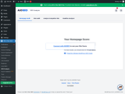 Page screenshot: All in One SEO → SEO Analysis