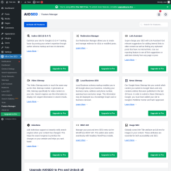 Page screenshot: All in One SEO → Feature Manager