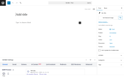 Page screenshot: Add Post ‹ Test site — WordPress