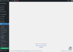 Page screenshot: Tools → Redirection Manager
