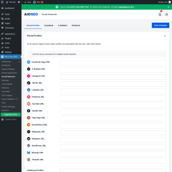 Page screenshot: All in One SEO → Social Networks