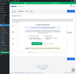 Page screenshot: All in One SEO → Local SEO
