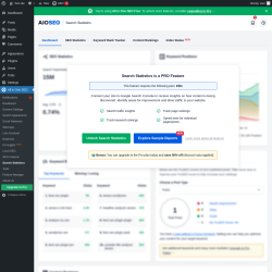 Page screenshot: All in One SEO → Search Statistics