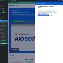 Page screenshot: All in One SEO
