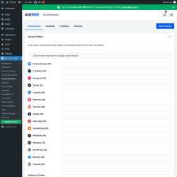 Page screenshot: All in One SEO → Social Networks