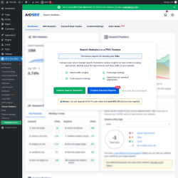 Page screenshot: All in One SEO → Search Statistics