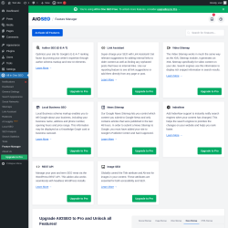 Page screenshot: All in One SEO → Feature Manager