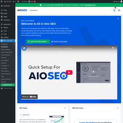 Page screenshot: All in One SEO → Dashboard