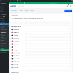 Page screenshot: All in One SEO → Social Networks