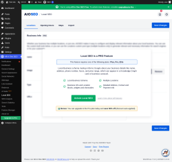 Page screenshot: All in One SEO &rarr; Local SEO