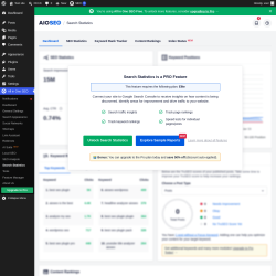 Page screenshot: All in One SEO &rarr; Search Statistics