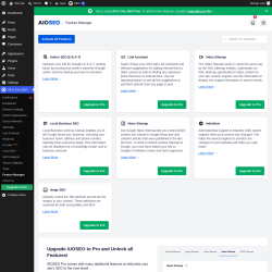 Page screenshot: All in One SEO &rarr; Feature Manager