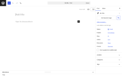 Page screenshot: Add Post &lsaquo; Test site &mdash; WordPress