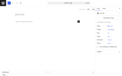 Page screenshot: Add Page &lsaquo; Test site &mdash; WordPress