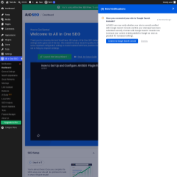 Page screenshot: All in One SEO