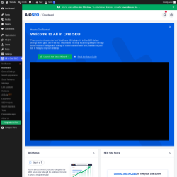 Page screenshot: All in One SEO &rarr; Dashboard