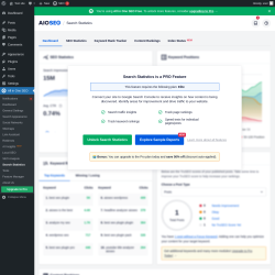 Page screenshot: All in One SEO &rarr; Search Statistics