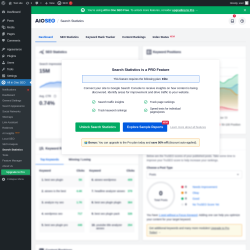 Page screenshot: All in One SEO &rarr; Search Statistics