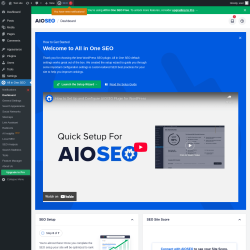 Page screenshot: All in One SEO