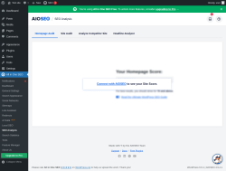 Page screenshot: All in One SEO &rarr; SEO Analysis