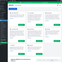 Page screenshot: All in One SEO &rarr; Feature Manager