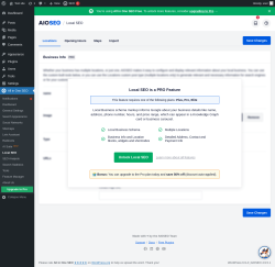 Page screenshot: All in One SEO &rarr; Local SEO
