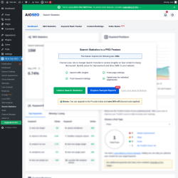 Page screenshot: All in One SEO &rarr; Search Statistics