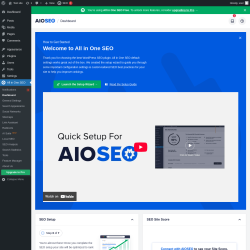 Page screenshot: All in One SEO &rarr; Dashboard