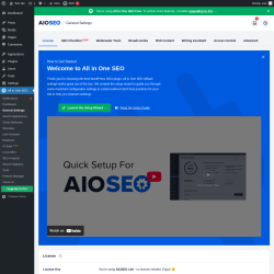 Page screenshot: All in One SEO &rarr; General Settings