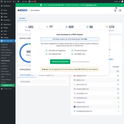 Page screenshot: All in One SEO &rarr; Link Assistant