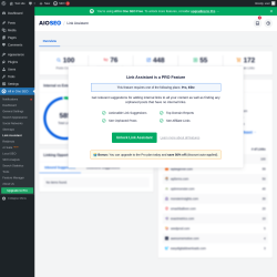 Page screenshot: All in One SEO &rarr; Link Assistant