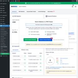 Page screenshot: All in One SEO &rarr; Search Statistics