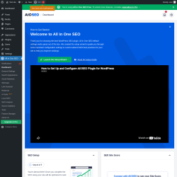 Page screenshot: All in One SEO