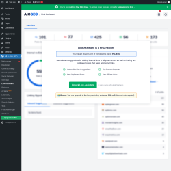 Page screenshot: All in One SEO &rarr; Link Assistant