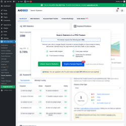 Page screenshot: All in One SEO &rarr; Search Statistics