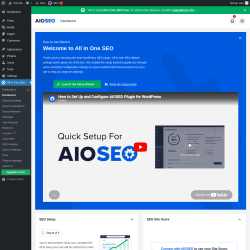 Page screenshot: All in One SEO &rarr; Dashboard