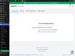 Page screenshot: All in One SEO &rarr; SEO Analysis