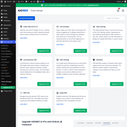 Page screenshot: All in One SEO &rarr; Feature Manager