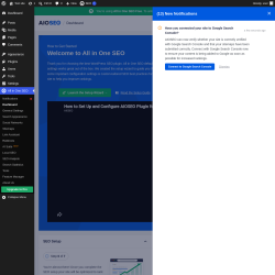 Page screenshot: All in One SEO