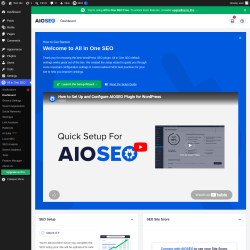 Page screenshot: All in One SEO &rarr; Dashboard