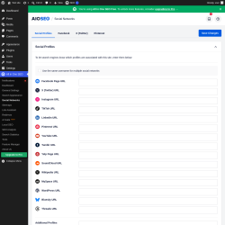 Page screenshot: All in One SEO &rarr; Social Networks