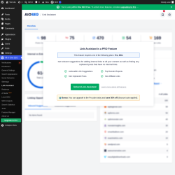 Page screenshot: All in One SEO &rarr; Link Assistant