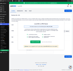 Page screenshot: All in One SEO &rarr; Local SEO