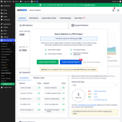 Page screenshot: All in One SEO &rarr; Search Statistics