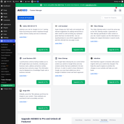 Page screenshot: All in One SEO &rarr; Feature Manager