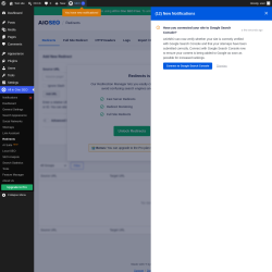 Page screenshot: Tools &rarr; Redirection Manager