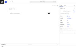Page screenshot: Add Page &lsaquo; Test site &mdash; WordPress