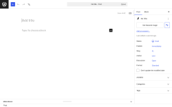 Page screenshot: Add Post &lsaquo; Test site &mdash; WordPress