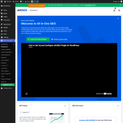 Page screenshot: All in One SEO